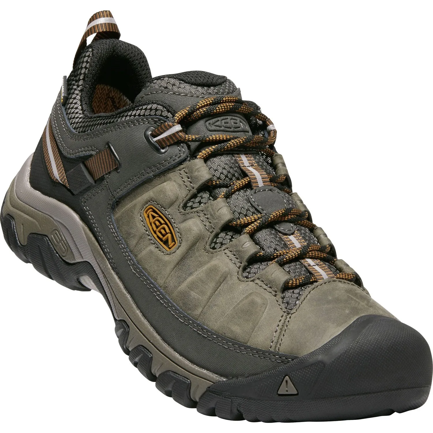 Targhee III Hiking Shoes - Men's